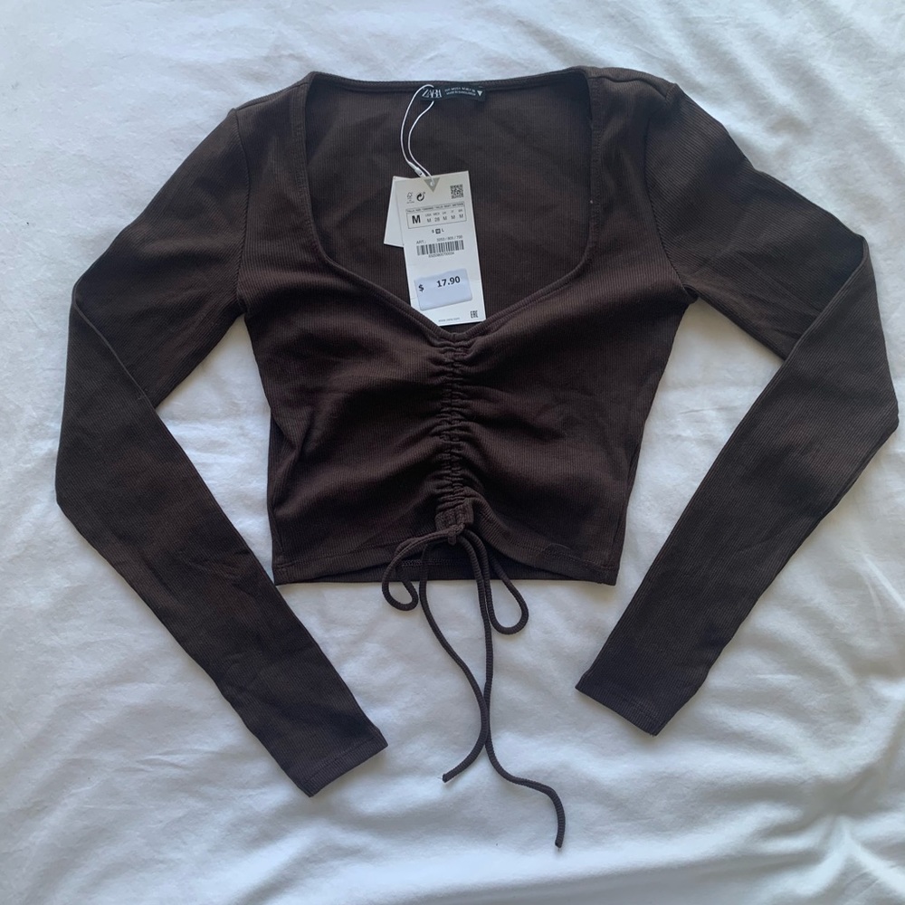 Zara brown crop top